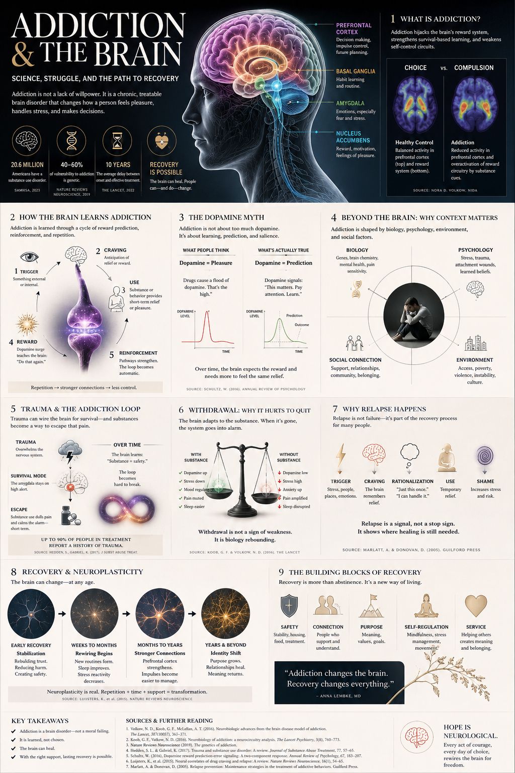 Addiction & The Brain